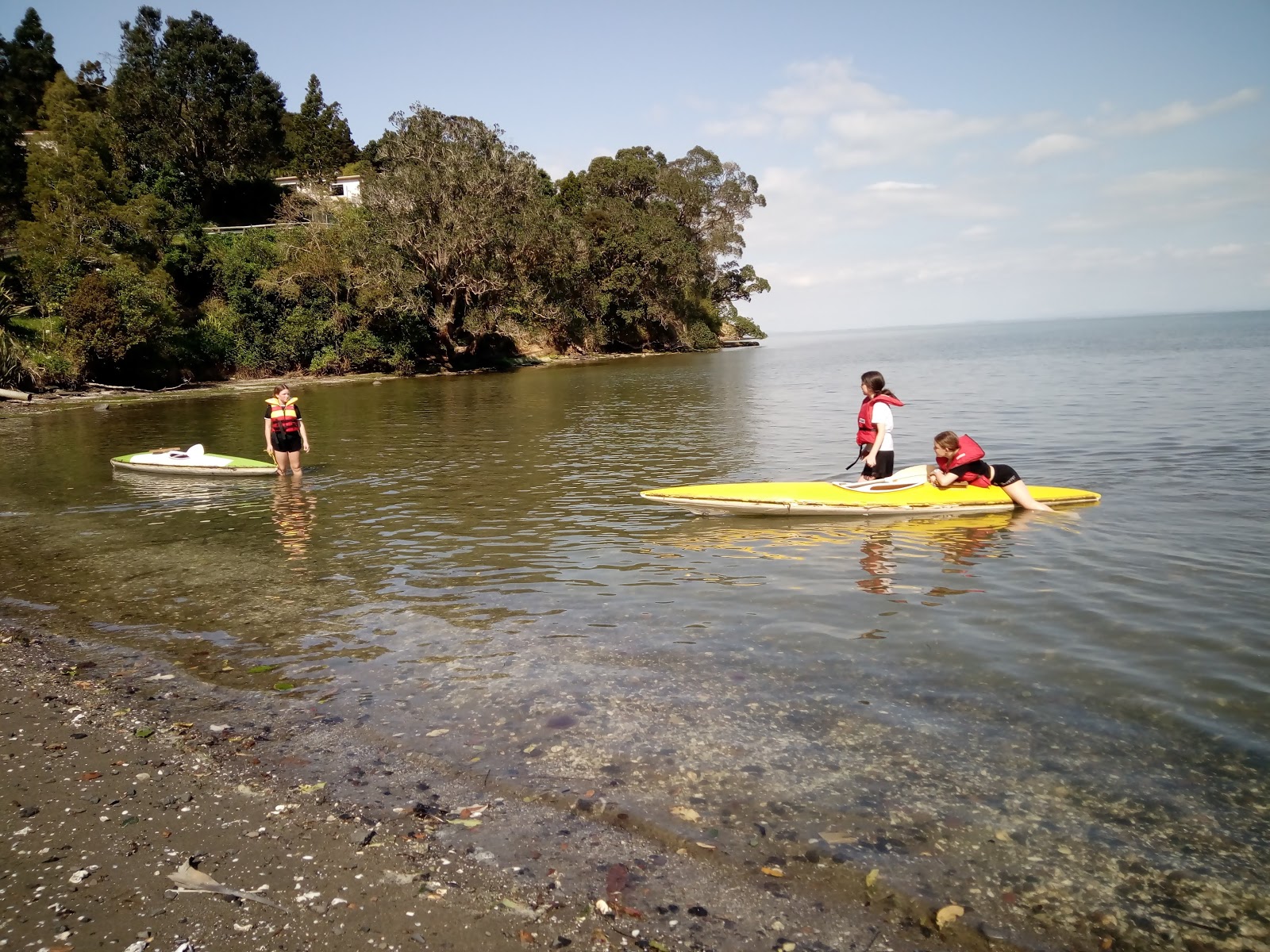 Foto von Titirangi Beach mit lange bucht