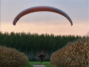 Photo n°14 de VDH - VUE DU HAUT à Madaillan ()