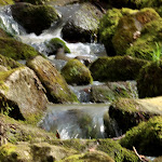 Photo n°43 de l'avis de Edith.� fait le 09/04/2024 à 16:41 sur le  Schloss Rauischholzhausen à Ebsdorfergrund