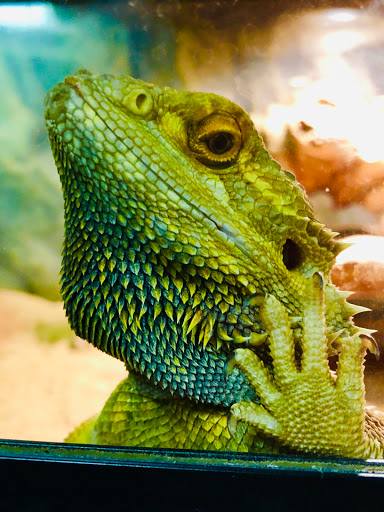 Pet Store «Hometowne Pet & Supply Inc», reviews and photos, 153 NY-94, Warwick, NY 10990, USA