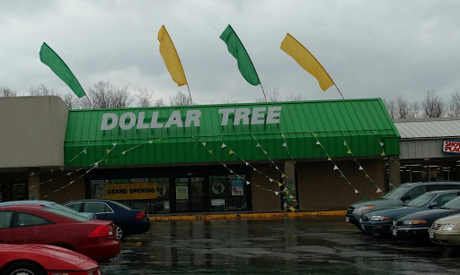 Dollar Store «Dollar Tree», reviews and photos, 525 W Marion St, Mt Gilead, OH 43338, USA