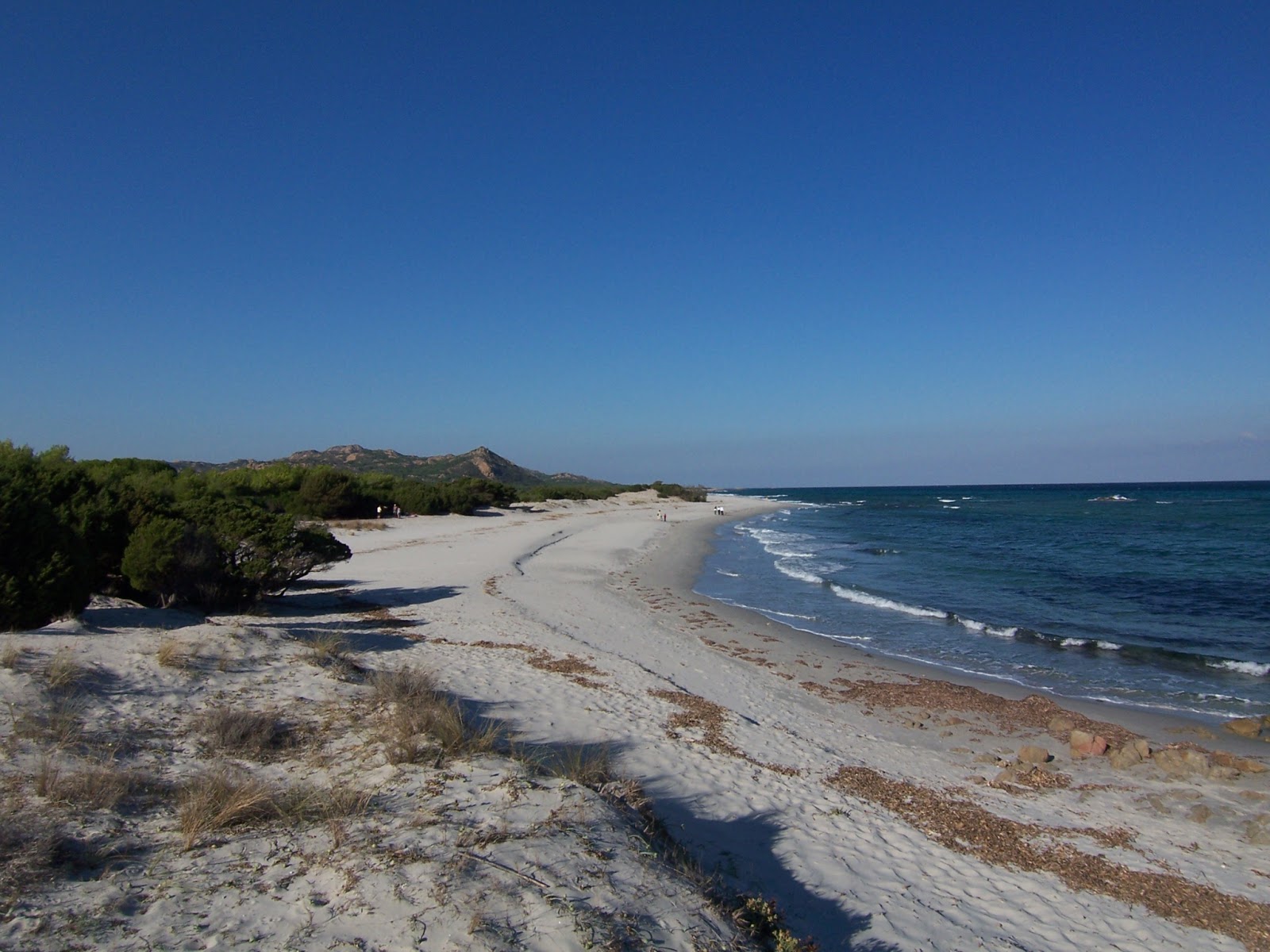 Mandra e Pische Nu Beach'in fotoğrafı vahşi alan