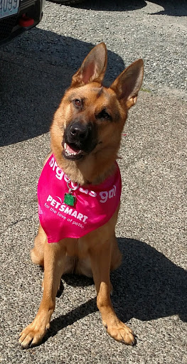 Pet Supply Store «PetSmart», reviews and photos, 10309 156th St E, Puyallup, WA 98373, USA