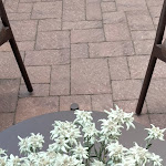 Photo n°2 de l'avis de Mary.a fait le 29/07/2022 à 16:05 sur le  Hotel Pejo à Peio Terme