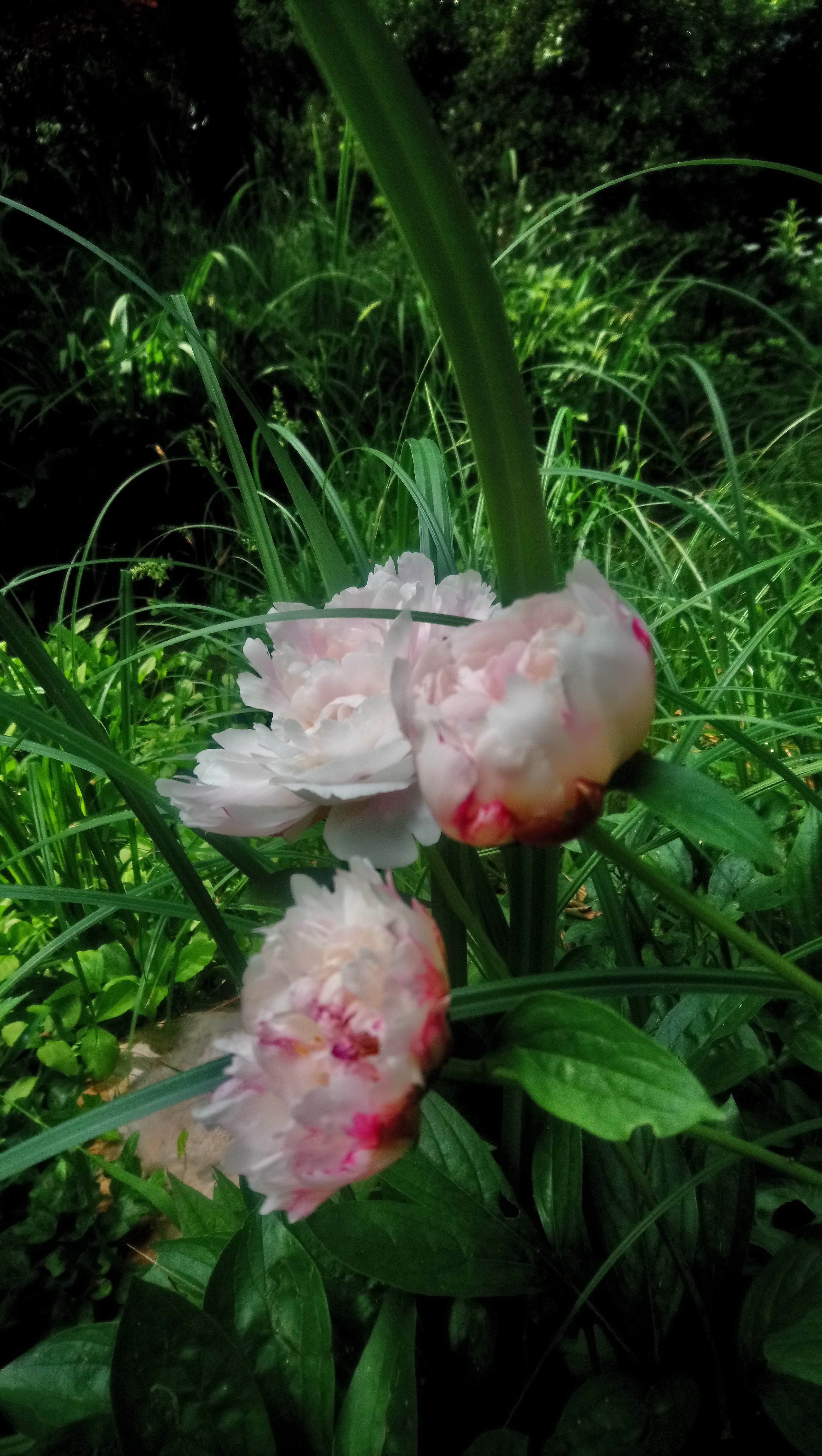 Photo n° 2 de l'avis de de.i fait le 18/06/2021 à 07:18