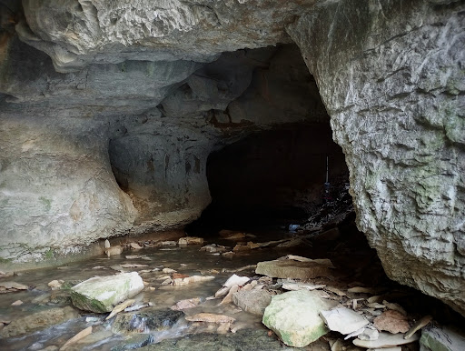 Park «Cave River Valley Park», reviews and photos, 6031-6871 N Cave River Valley Rd, Campbellsburg, IN 47108, USA