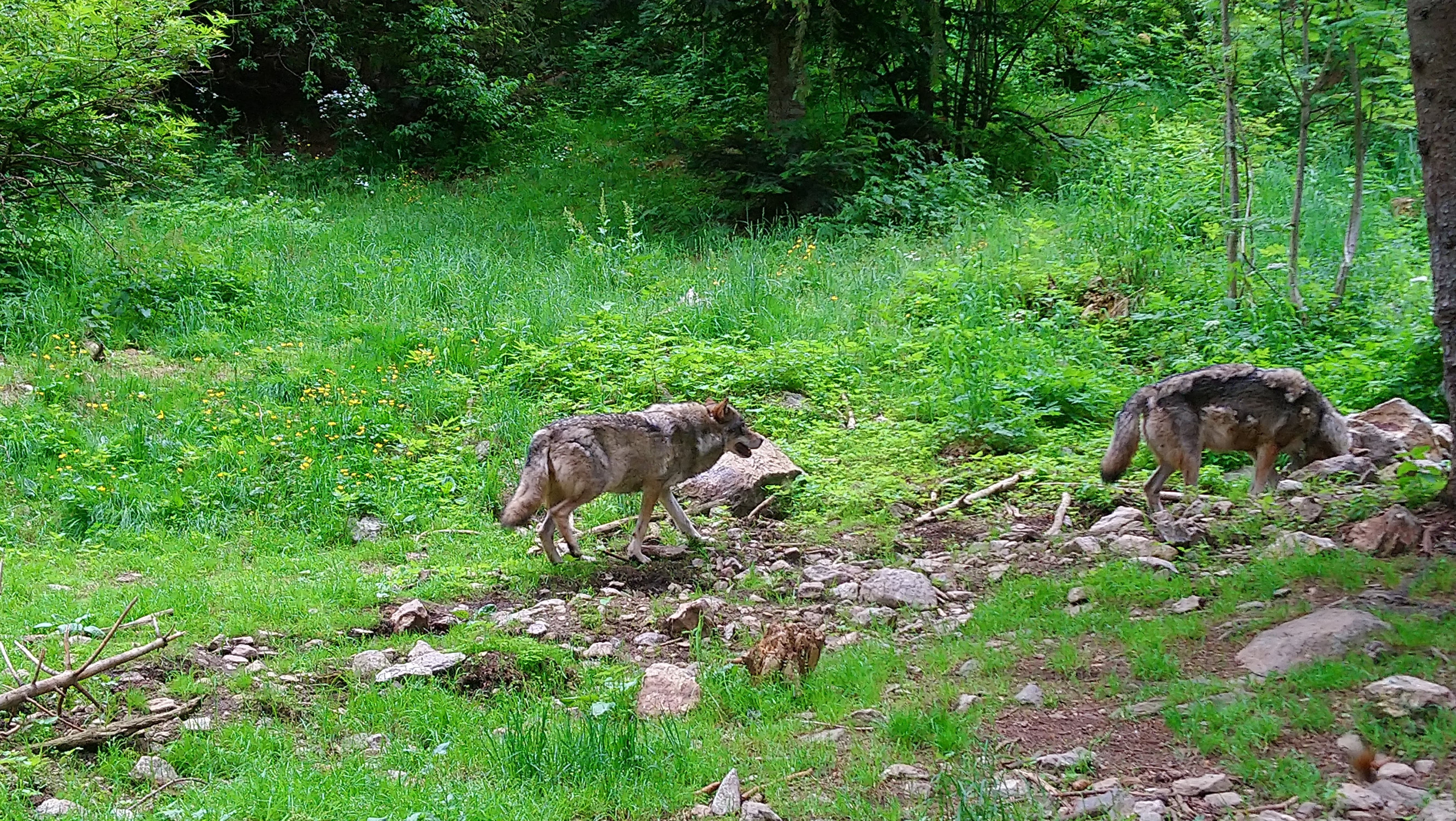 Photo n° 27 de l'avis de CHRISTOPHE. fait le 02/08/2019 à 07:51