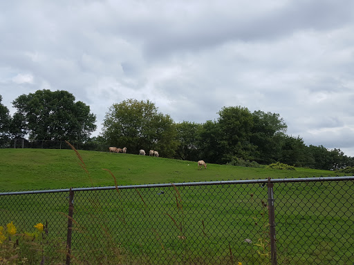 Zoo «Minnesota Zoo», reviews and photos, 13000 Zoo Blvd, Apple Valley, MN 55124, USA