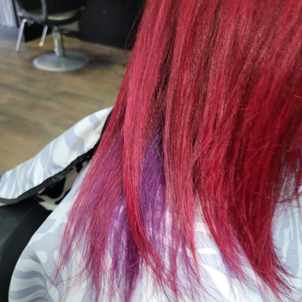 HeadCase Salon 74902