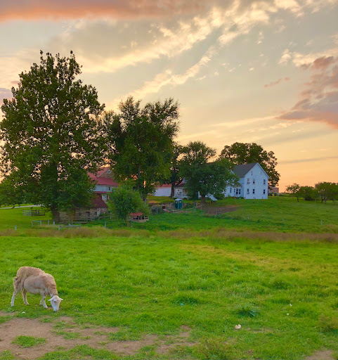 Dairy Farm «Milky Way Farm», reviews and photos, 521 E Uwchlan Ave, Chester Springs, PA 19425, USA