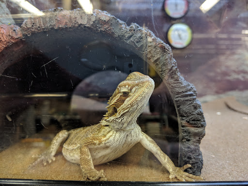 Pet Supply Store «Petco Animal Supplies», reviews and photos, 3055 Columbia Blvd #117, Titusville, FL 32780, USA