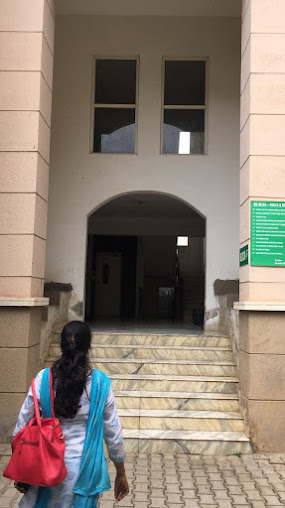 Google Maps image 21