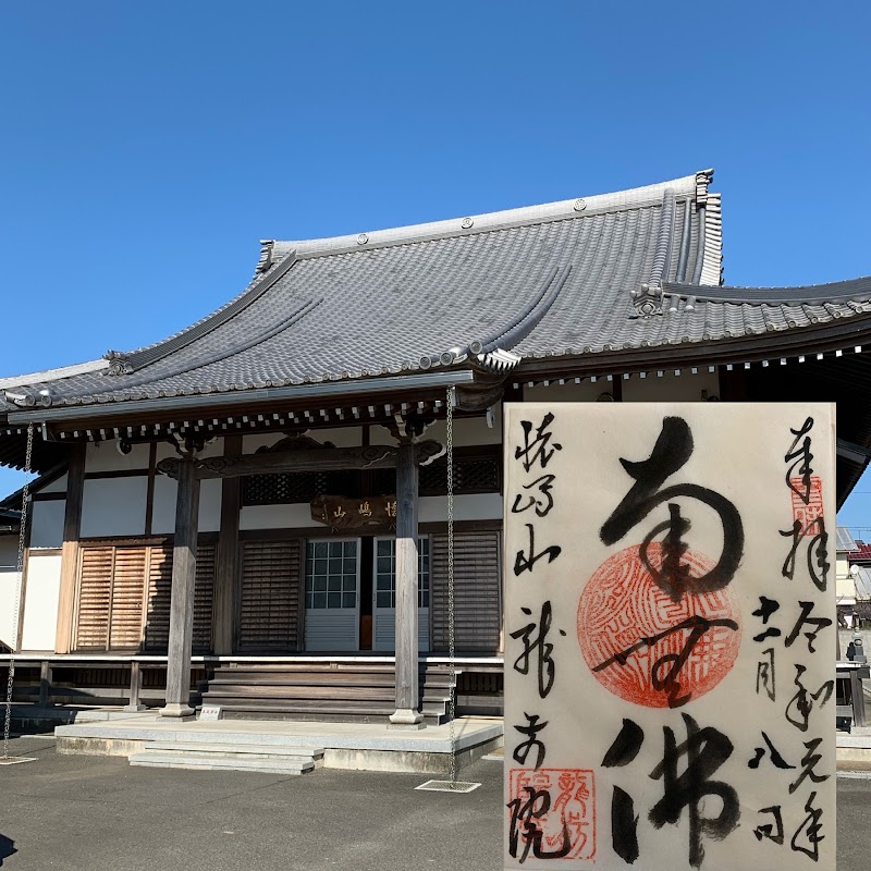 懐嶋山龍前院