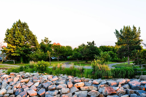 State Park «Squantum Point Park», reviews and photos, Miwra Haul Rd, Quincy, MA 02171, USA