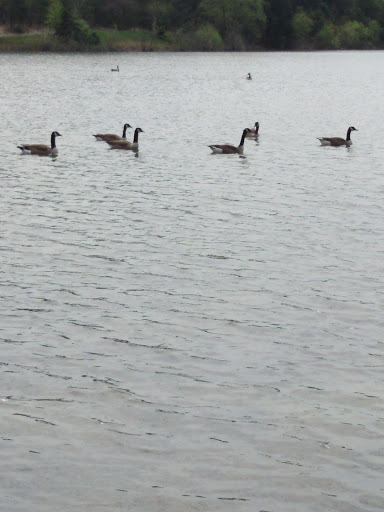 Disc Golf Course «South Vineland Disc Golf Course- Crystal Lake», reviews and photos, W Elmer Rd, Vineland, NJ 08360, USA