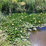 Photo n°9 de l'avis de Patrizia.e fait le 03/08/2020 à 13:00 sur le  Il Ritrovo à Forio