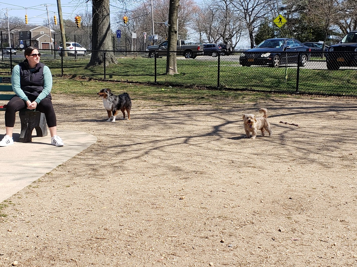 Eisenhower Dog Park