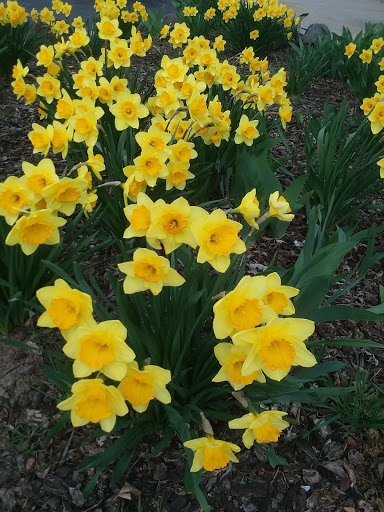 Grocery Store «Safeway», reviews and photos, 1499 US-101, Reedsport, OR 97467, USA