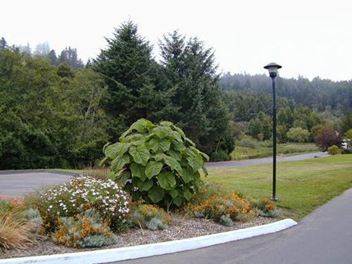 College «College of the Redwoods», reviews and photos