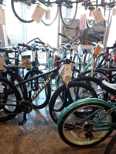 Bicycle Store «Miami Beach Bicycle Center», reviews and photos, 746 5th St, Miami Beach, FL 33139, USA