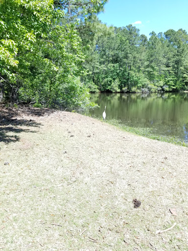 Golf Course «Witch Golf Links», reviews and photos, 1900 SC-544, Conway, SC 29526, USA