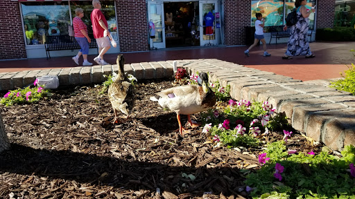 Tourist Attraction «Broadway at the Beach», reviews and photos, 1325 Celebrity Cir, Myrtle Beach, SC 29577, USA