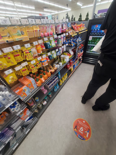 Discount Store «Big Lots», reviews and photos, 13970 N Cleveland Ave, Fort Myers, FL 33903, USA