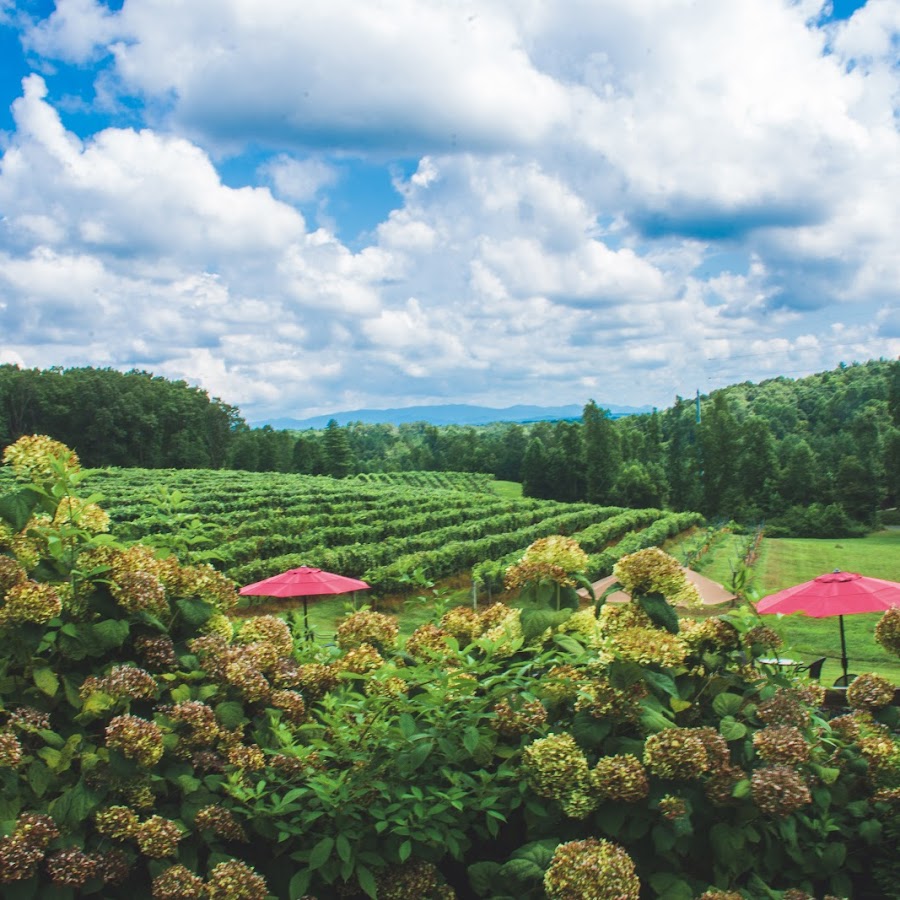 Engelheim Vineyards