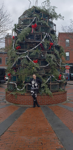 DVD Store «Bull Moose», reviews and photos, 151 Middle St, Portland, ME 04101, USA