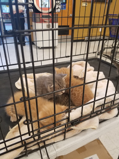 Pet Supply Store «PetSmart», reviews and photos, 1321 W Craig Rd, North Las Vegas, NV 89032, USA