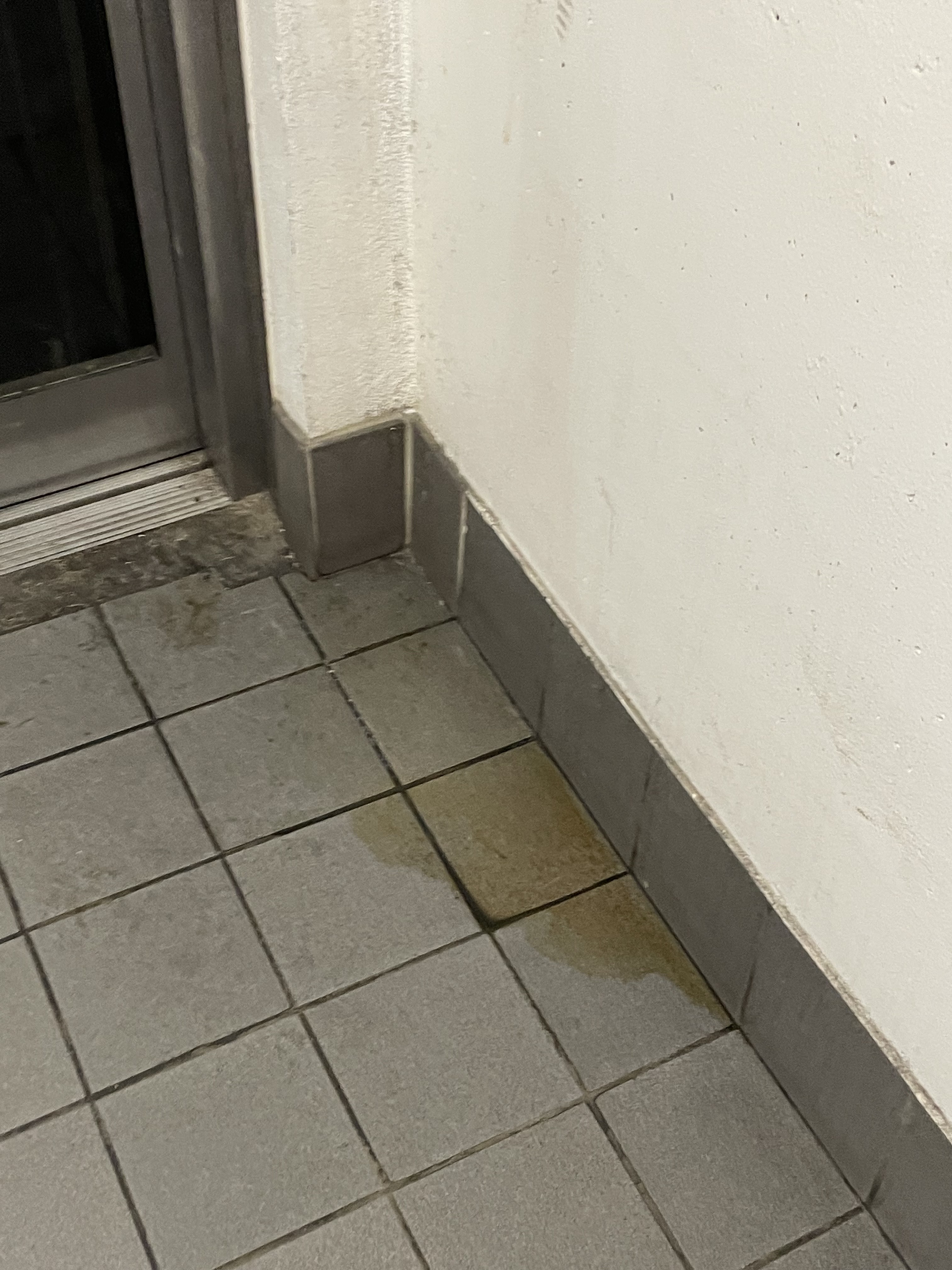 Photo n° 1 de l'avis de walid.a fait le 21/12/2023 à 08:01