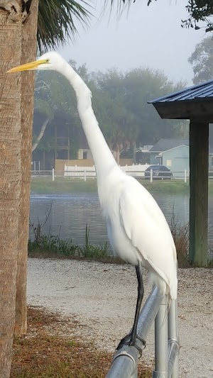 Wood Ibis Park - photo 40