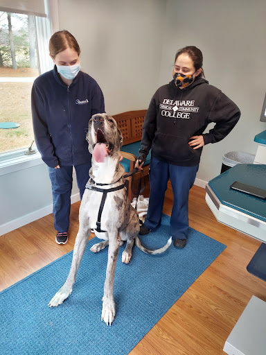 Coastal Veterinary image