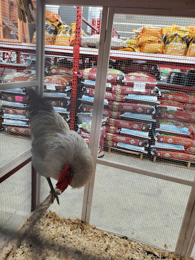 Department Store «Rural King», reviews and photos, 1800 S Ohio St, Martinsville, IN 46151, USA