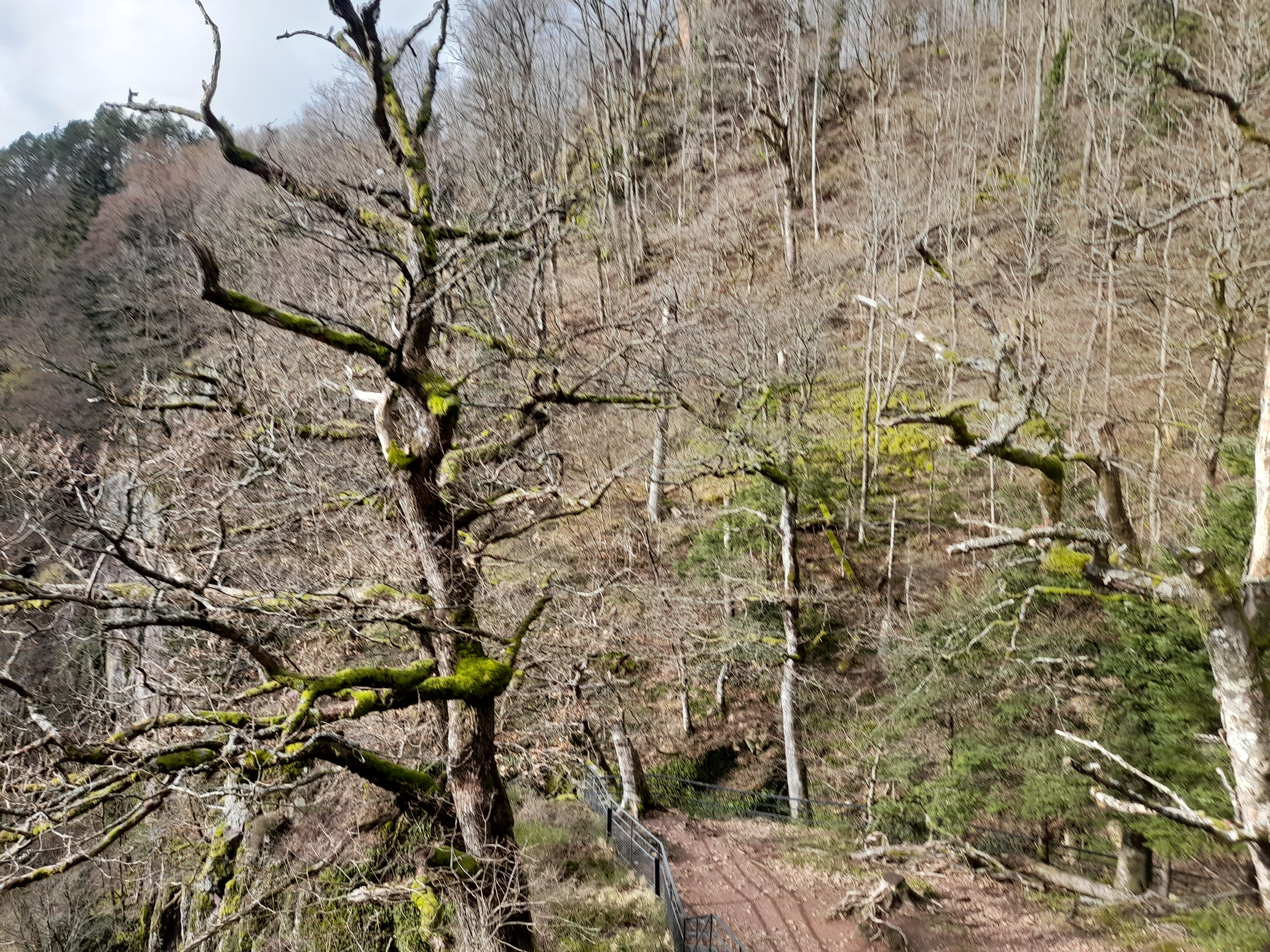 Photo n° 3 de l'avis de Allan. fait le 15/02/2024 à 17:31