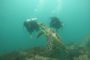 DPM Diving Koh Phi Phi image