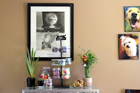 Angels With Paws LLC - Photo 2 - Car repair in Littleton, CO, Highlands Ranch