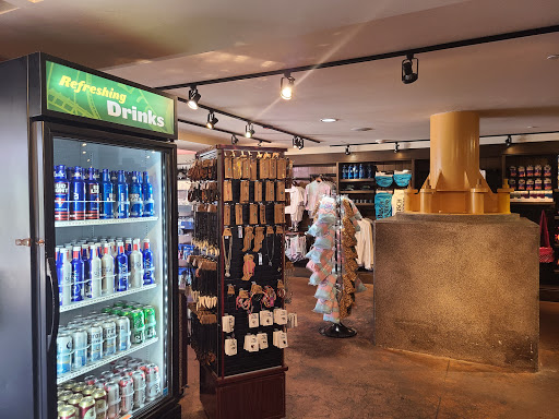 Roller Coaster «Cheetah Hunt», reviews and photos, 10165 N Malcolm McKinley Dr, Tampa, FL 33612, USA