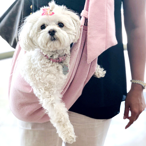 Lexus Dealer «South County Lexus at Mission Viejo», reviews and photos, 28242 Marguerite Pkwy, Mission Viejo, CA 92692, USA