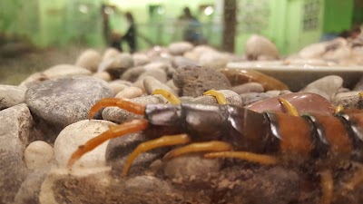 Photos of Victoria Bug Zoo