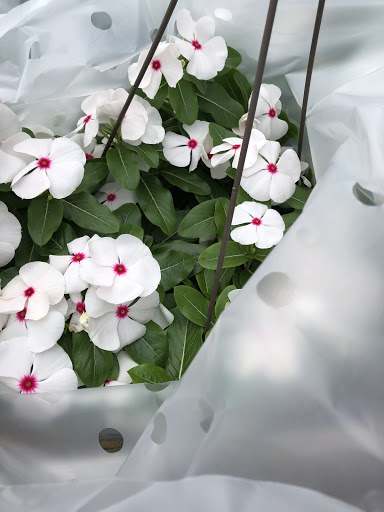 Supermarket «Greenland Market», reviews and photos, 15237 Warren Ave, Dearborn, MI 48126, USA