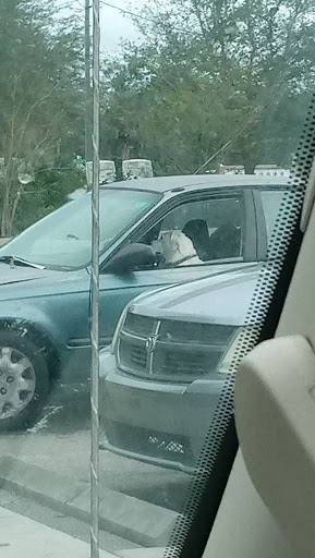 Discount Store «Dollar General», reviews and photos, 3850 N Hwy 19A, Mt Dora, FL 32757, USA