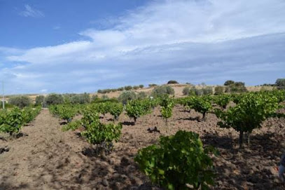 Vinícola Delgado SL