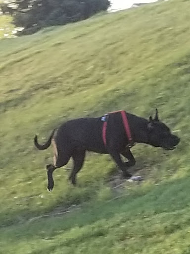 Park «Panorama Park», reviews and photos, W 35th Ave & Fenton St, Wheat Ridge, CO 80033, USA