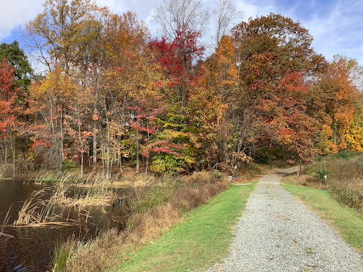 Nature Preserve «Teetertown Ravine Nature Preserve», reviews and photos, 30 Pleasant Grove Rd, Port Murray, NJ 07865, USA