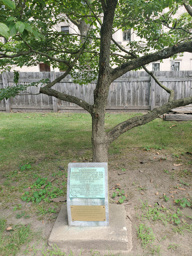 Museum «Old Barracks Museum», reviews and photos, 101 Barrack St, Trenton, NJ 08608, USA