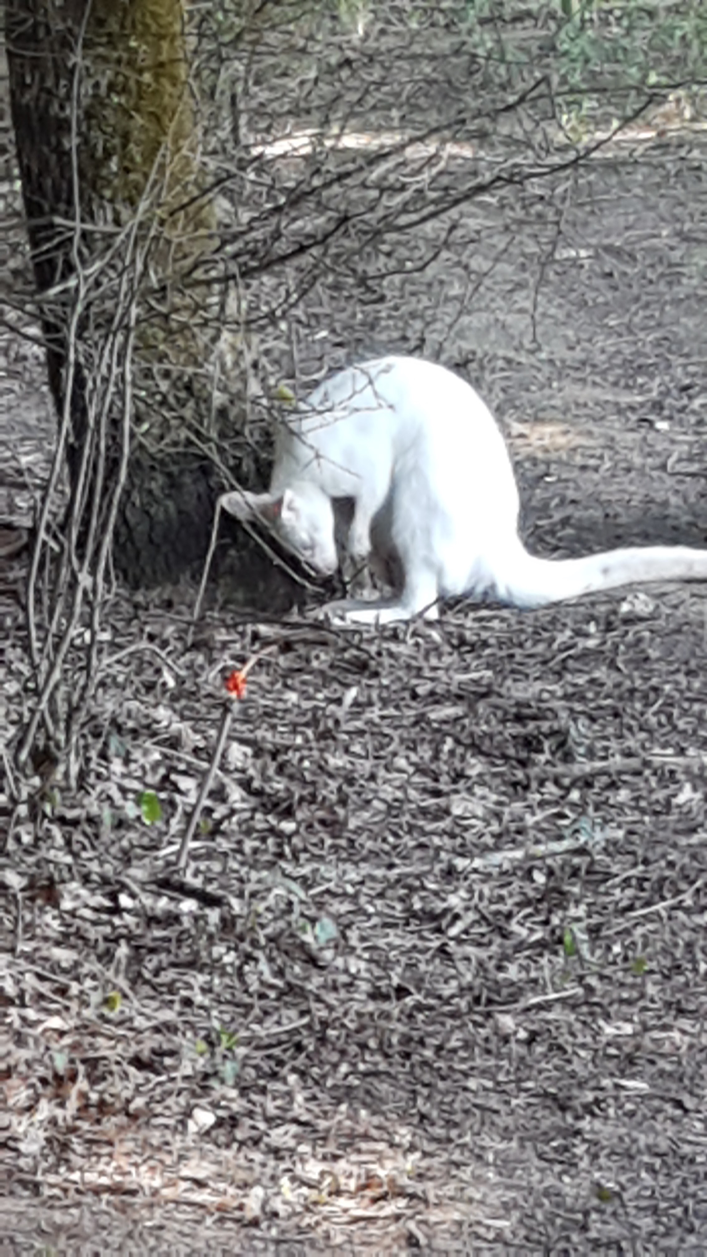 Photo n° 11 de l'avis de Patricia.e fait le 16/08/2019 à 15:31