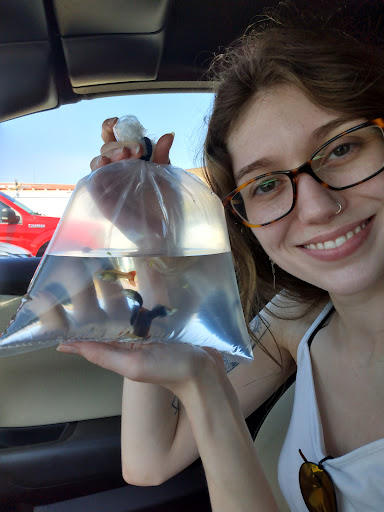 Pet Store «The Amazon Pet Store», reviews and photos, 2936 Del Prado Blvd, Cape Coral, FL 33904, USA