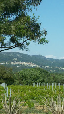 Riviera Pools and Gardens à Cogolin