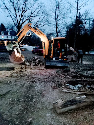 Tree Service «Polgar Tree Service & Removal LLC», reviews and photos